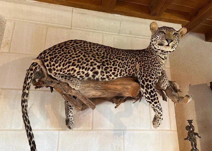 Bois Sangha Maison 3 Avec Jardin Clos * Oiron